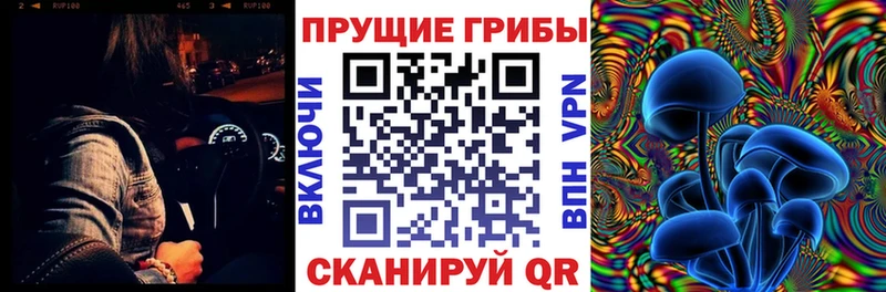 кракен tor Буй Псилоцибиновые грибы MAGIC MUSHROOMS